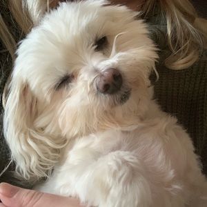 Meet your Posher, Jerilyn